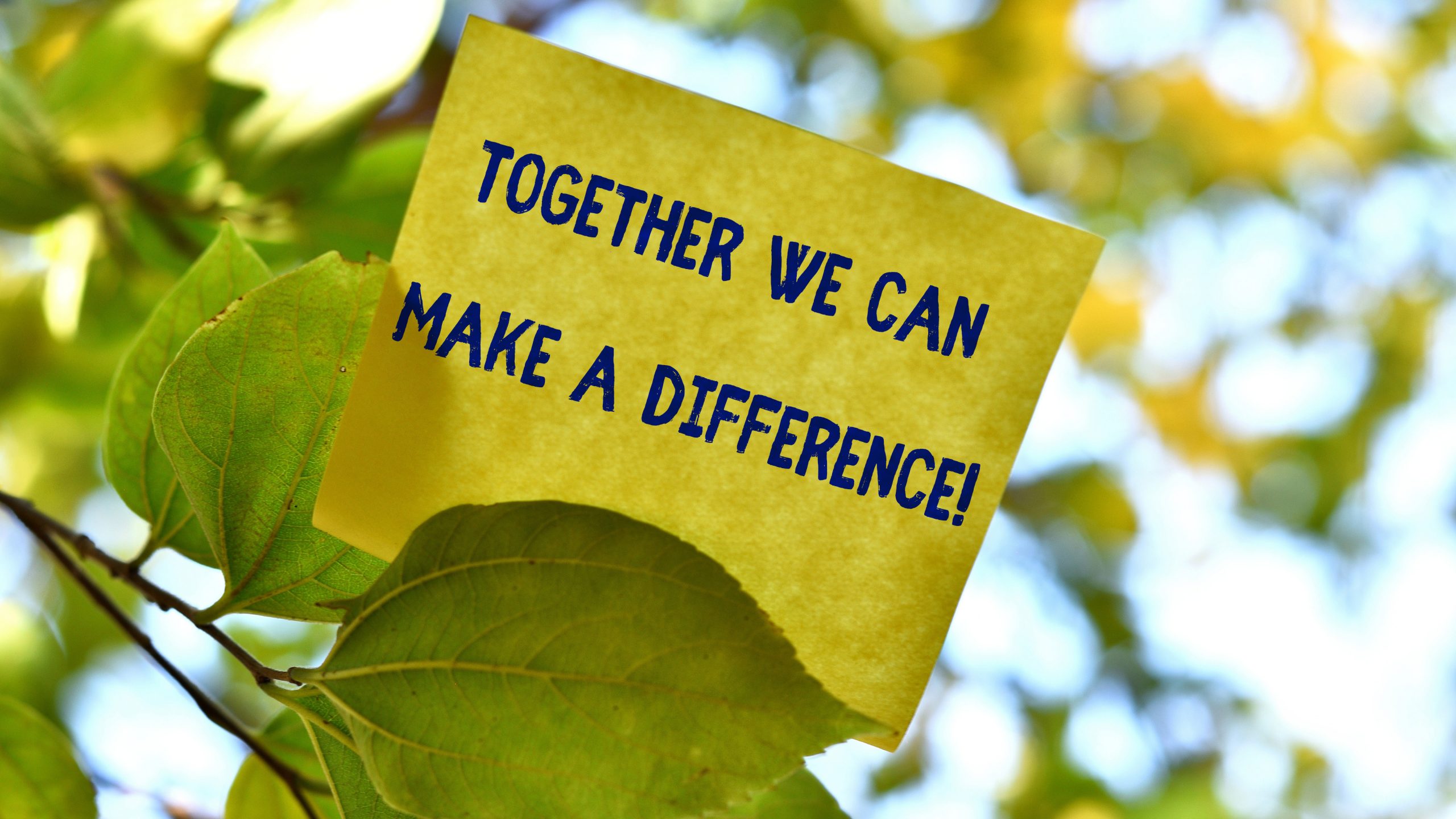 together-we-can-make-a-difference